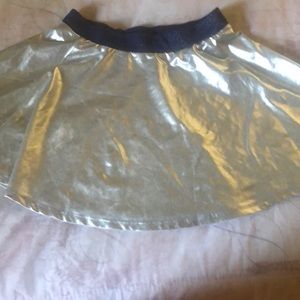 Polyester Silver skirt